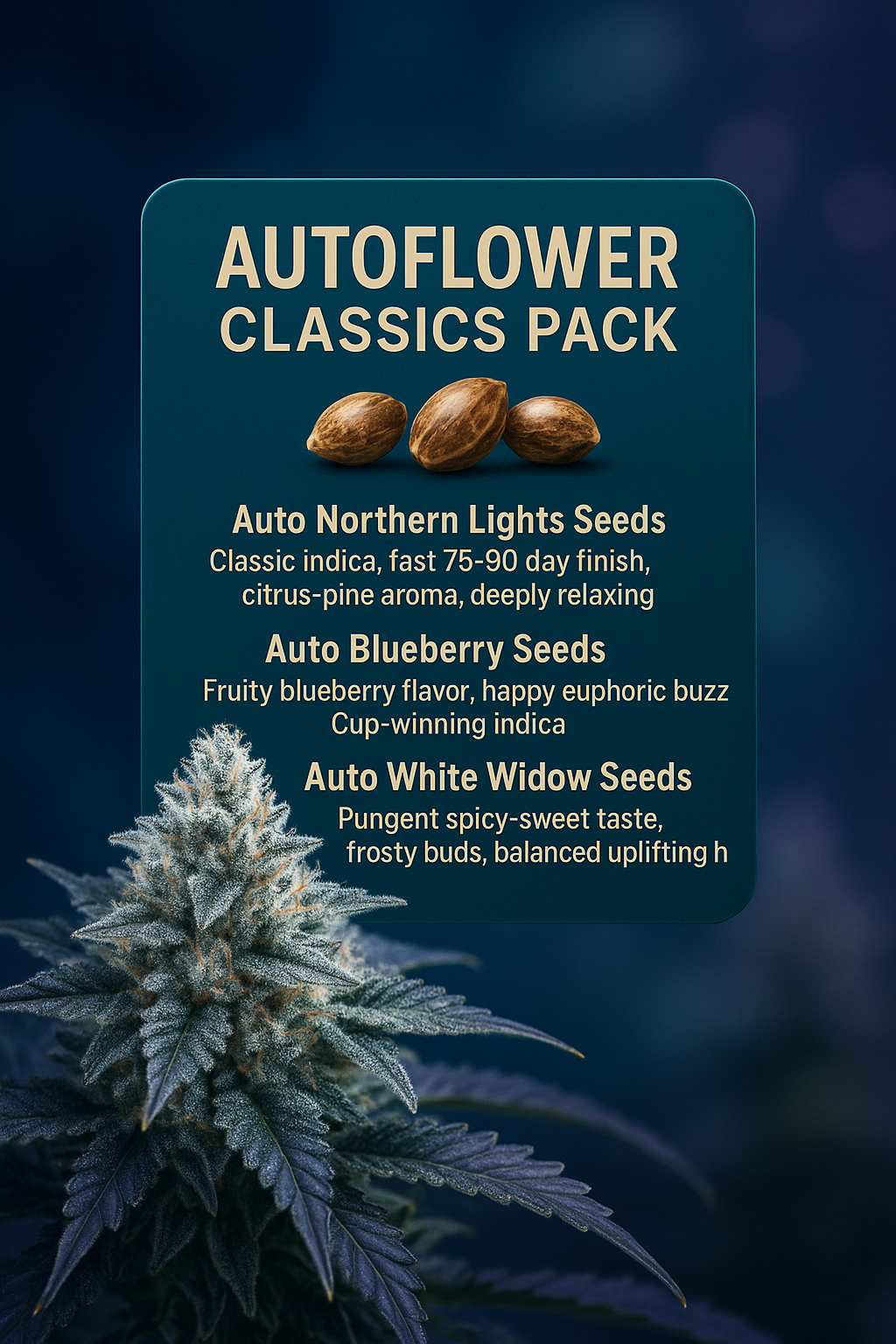 Buy Autoflower Classics Pack Seeds  Autoflower Cannabis Seeds | The Seed  Connect